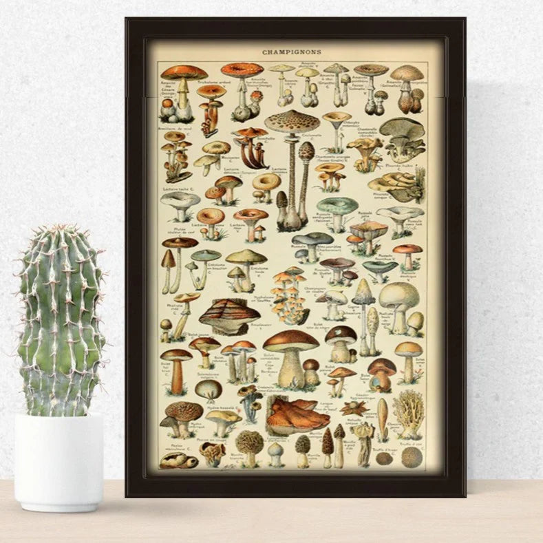Posters