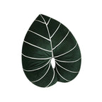 Monstera Plush Pillow