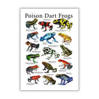 Vintage Frog Poster