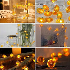 Pumpkin String Lights