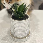 Disco Party Flower Pot