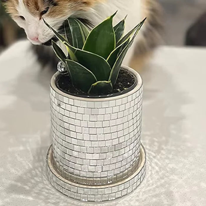 Disco Party Flower Pot