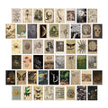 Darkest Academia Wall Collage