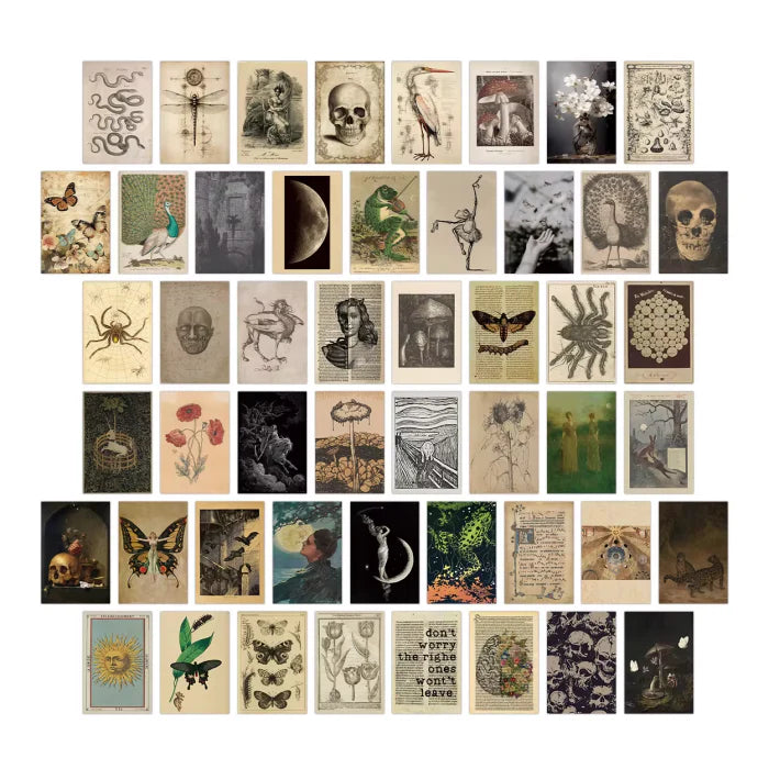 Darkest Academia Wall Collage