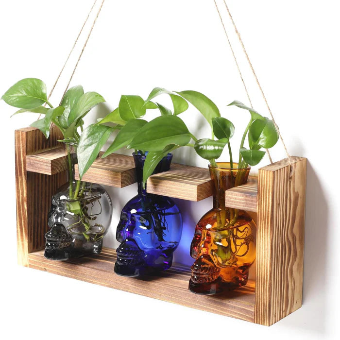 Skull Vase Planter