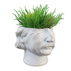 Iconic Mind Planter