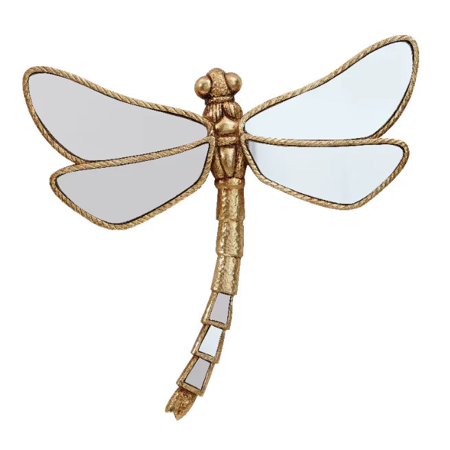Magic Dragonfly Mirror