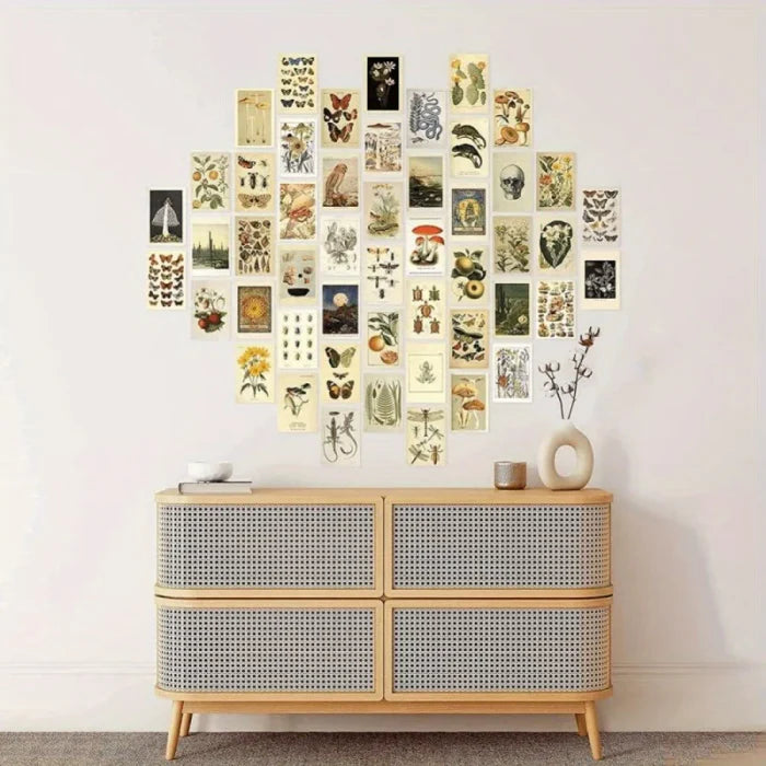 Light Academia Wall Collage