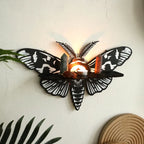 Death Moth Wall Shelf