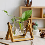 Aesthetic Terrarium Vase
