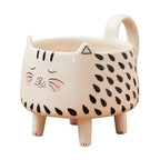 Crazy Cat Lady Mug