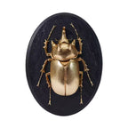 Mystic Beetle Pendant