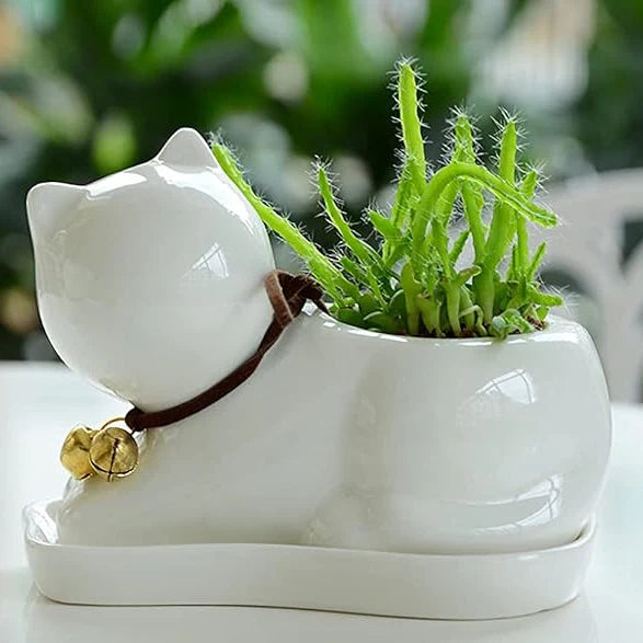 Lazy Cat Planter