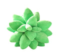 Cactus Cushion