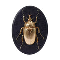 Mystic Beetle Pendant