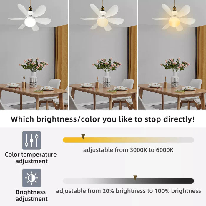 LED Ceiling Fan