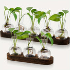 Minimalist Clear Glass Vase Set