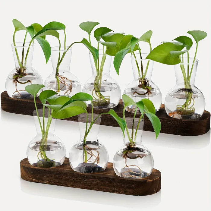 Minimalist Clear Glass Vase Set