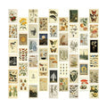 Light Academia Wall Collage