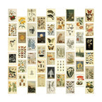 Light Academia Wall Collage