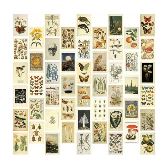 Light Academia Wall Collage