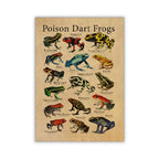 Vintage Frog Poster