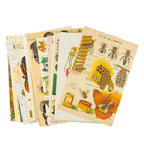 Botanic Garden Collage Kit