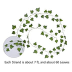 Green Leaf Hanging Ivy