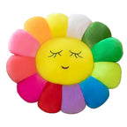 Takashi Murakami Cushion