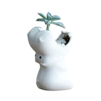 Hippo Ceramic Pot