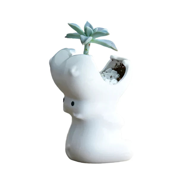 Hippo Ceramic Pot