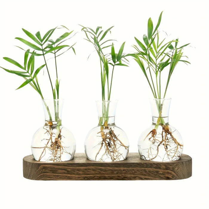 Minimalist Clear Glass Vase Set