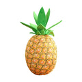 Pineapple Cushion
