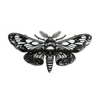 Death Moth Wall Shelf