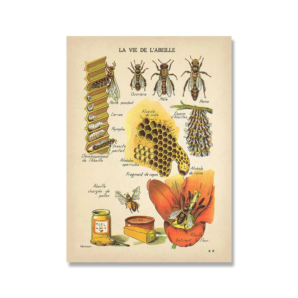 Save The Bees Poster