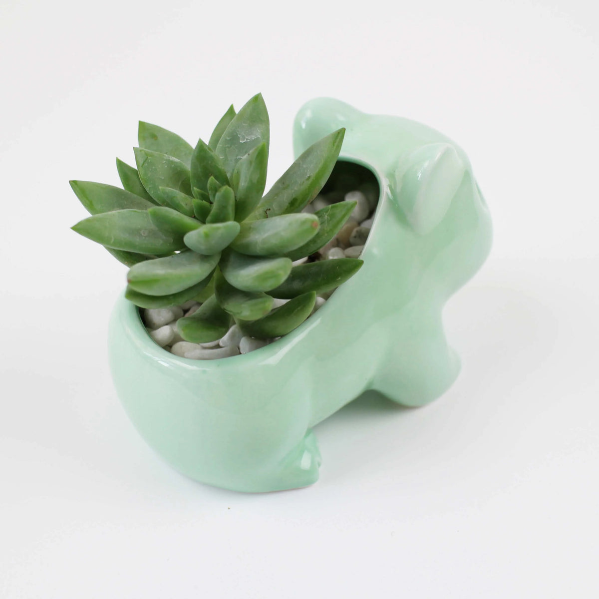 Kawaii Flower Pot