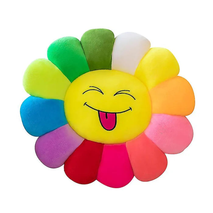 Takashi Murakami Cushion