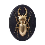 Mystic Beetle Pendant